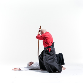 Hapkido 4 — figure reference
